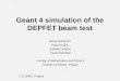 Geant 4 simulation of the DEPFET beam test