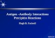Antigen  - Antibody Interactions Precipitin Reactions