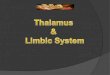 Thalamus  &  Limbic System