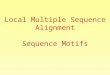 Local Multiple Sequence Alignment Sequence Motifs