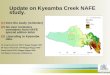 Update on Kyeamba Creek NAFE study