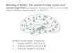 Medial Frontal cortex: 3 divisions Orbital (orMFC): BA 14 & 25 Anterior (arMFC): BA 10 & 32