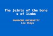 The joints of the bones of limbs SHANDONG UNIVERSITY   Liu Zhiyu