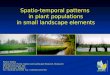 Spatio-temporal patterns  in plant populations in small landscape elements