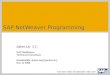 SAP NetWeaver Programming