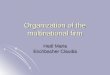 Organization of the multinational firm