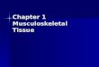 Chapter 1  Musculoskeletal Tissue