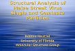 Structural Analysis of Maize Streak Virus Single and Geminate Particles