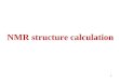 NMR structure calculation