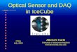 Optical Sensor and DAQ in IceCube