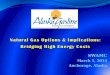 Natural Gas Options & Implications: Bridging High Energy Costs
