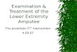 Examination & Treatment of the Lower Extremity Amputee
