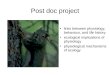 Post doc project