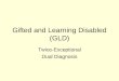 Gifted and Learning Disabled (GLD)