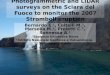 Photogrammetric and LIDAR surveys on the Sciara del Fuoco to monitor the 2007 Stromboli eruption