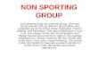 NON SPORTING GROUP