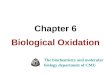 Chapter 6 Biological Oxidation
