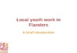 Local youth work in Flanders