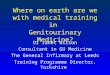 Where on earth are we with medical training in  Genitourinary Medicine?
