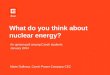 What do you think about nuclear energy?