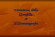 Estrazione della Clorofilla  &  la Cromatografia