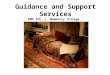 Guidance and Support Services EMD 335  |  Newberry College
