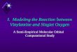 I.  Modeling the Reaction between Vinylamine and Singlet Oxygen