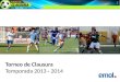 Torneo de Clausura  Temporada 2013  -  2014