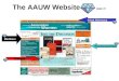 The AAUW Website MINE IT!