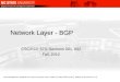 Network Layer - BGP