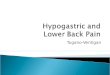 Hypogastric  and  Lower Back Pain