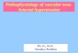 Pathophysiology of vascular tone. Arterial hypertension