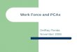 Work Force and PCAs