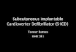 Subcutaneous Implantable Cardioverter Defibrillator (S-ICD)
