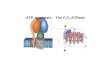 ATP synthesis :  The F 1 F 0 -ATPase