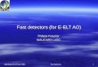 Fast detectors (for E-ELT AO)