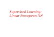 Supervised Learning:  Linear Perceptron NN