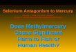 Selenium Antagonism to Mercury