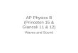 AP Physics B (Princeton 15 & Giancoli 11 & 12)