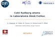 Cold Rydberg atoms  in Laboratoire Aimé Cotton
