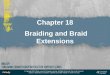 Chapter 18  Braiding and Braid Extensions