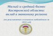 Малый и средний бизнес Костромской области: вклад в экономику региона