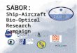 SABOR: Ship-Aircraft  Bio-Optical Research Campaign