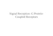 Signal Reception: G Protein-Coupled Receptors