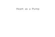 Heart  as  a  Pump