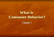 What is  Consumer Behavior?
