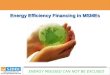 Energy Efficiency Financing in MSMEs