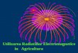 Utilizarea Radiatiilor Electromagnetice            in   Agricultura
