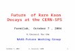 Future  of Rare Kaon Decays at the CERN-SPS