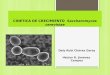 CINETICA  DE CRECIMIENTO  Saccharomyces cerevisiae